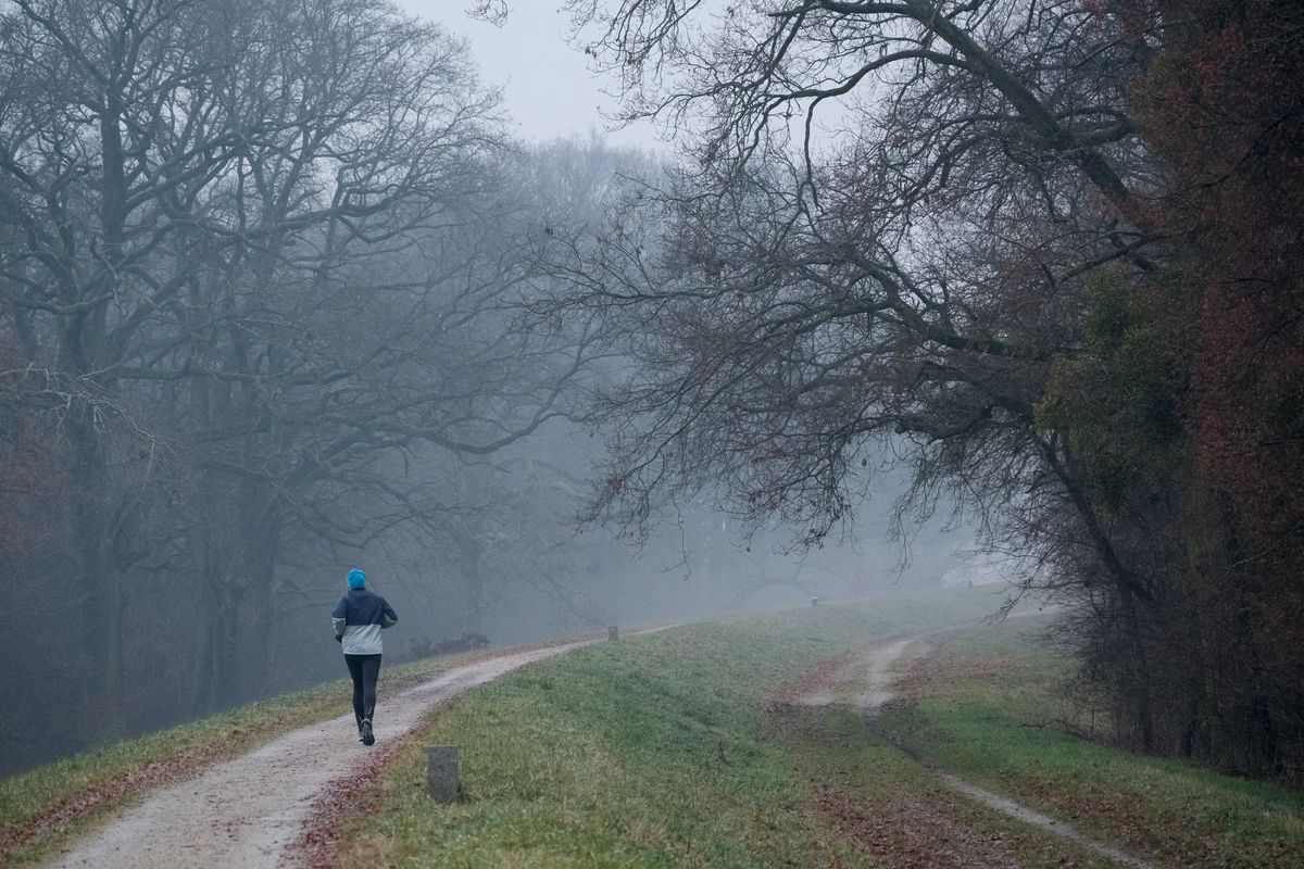 Un coureur sur un chemin brumeux sous des arbres dénudés.