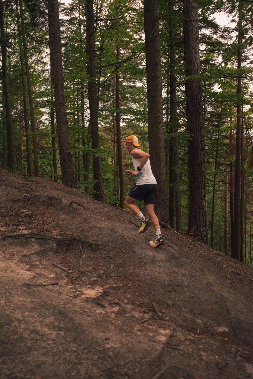 Un coureur monte une courte pente de terre en forêt.