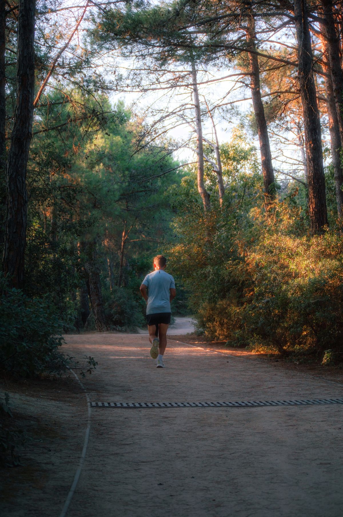Un coureur avance sur un large chemin forestier ombragé.