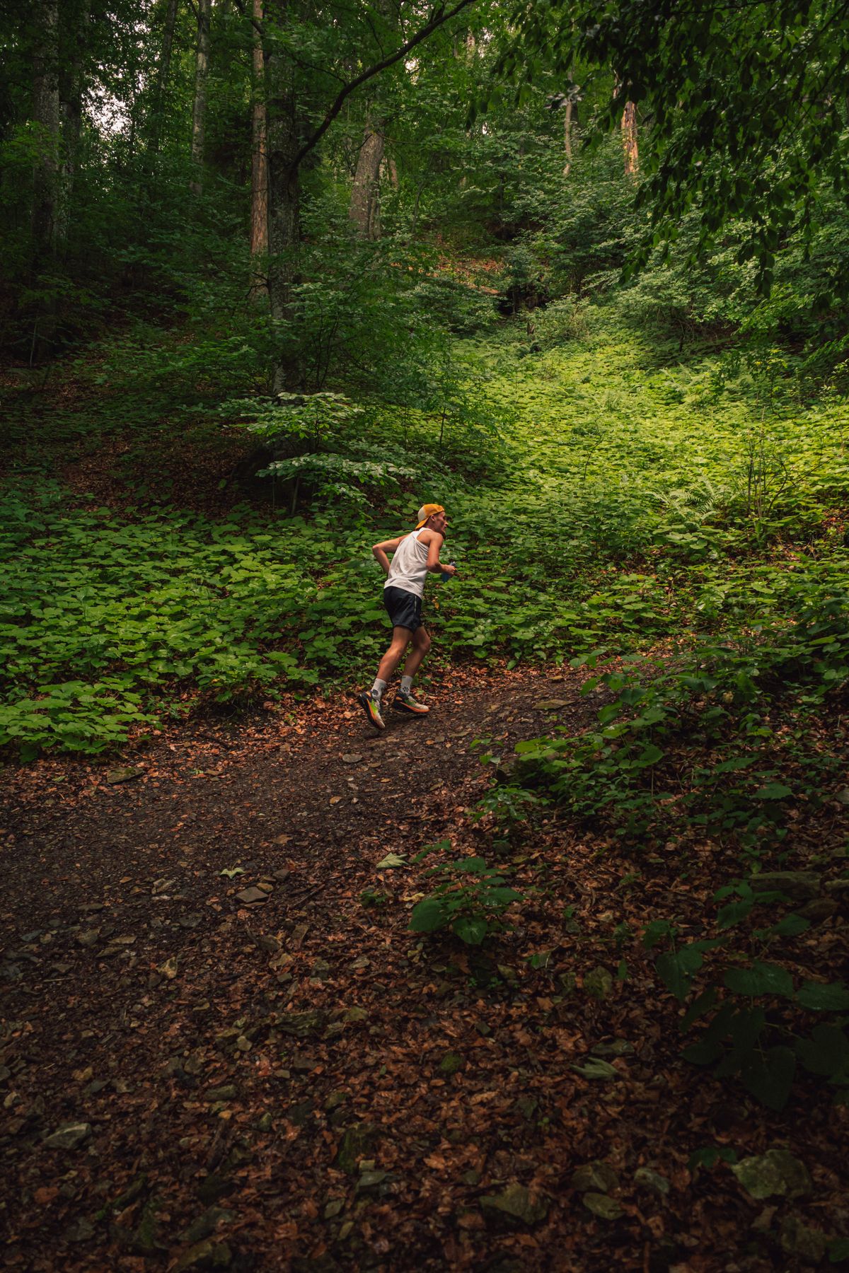 Un coureur suit un sentier de terre étroit dans une forêt verdoyante.