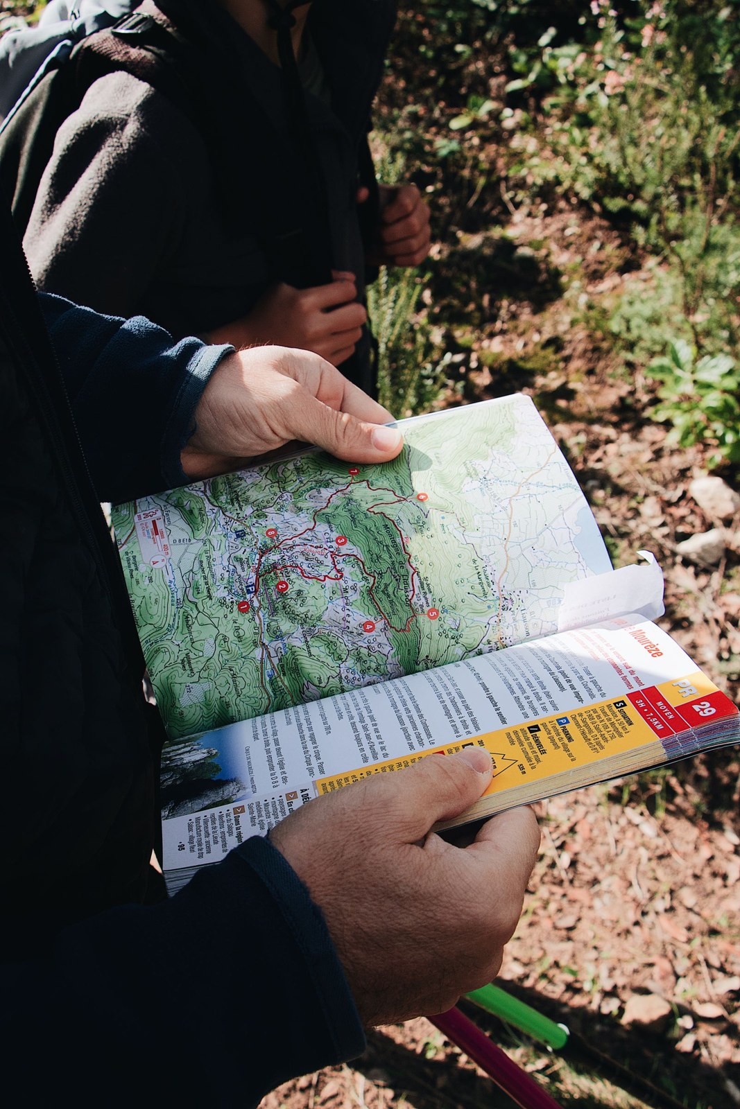 Des mains consultent une carte et un guide d’itinéraire en forêt.