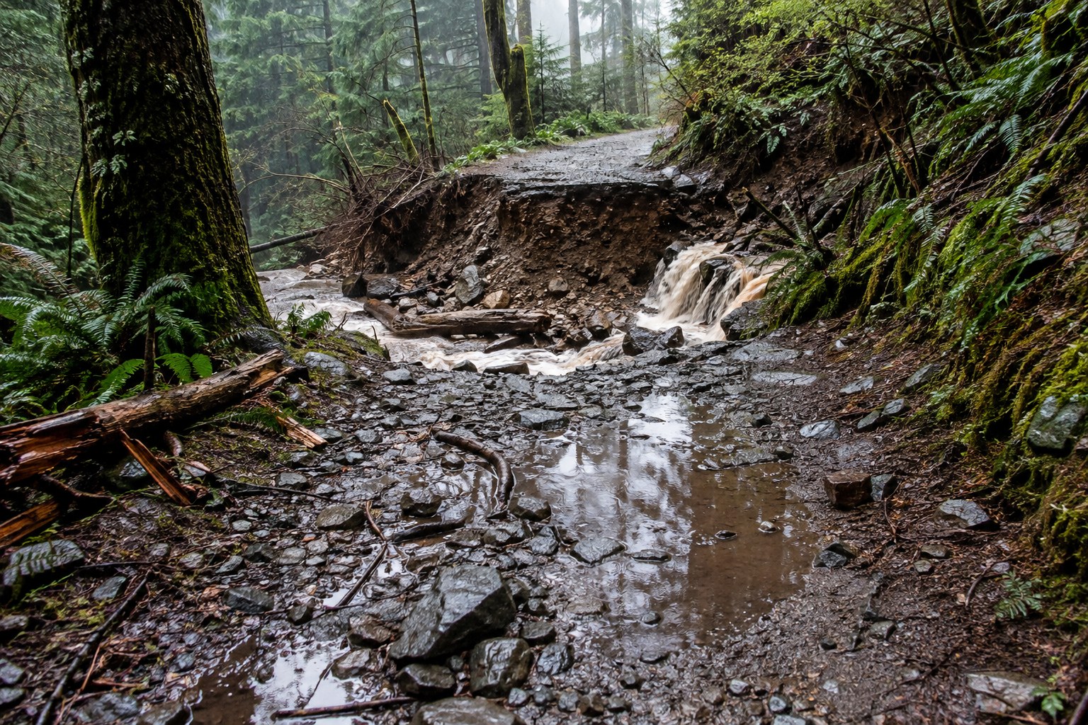 Des flaques et de l’érosion interrompent un chemin après la pluie.